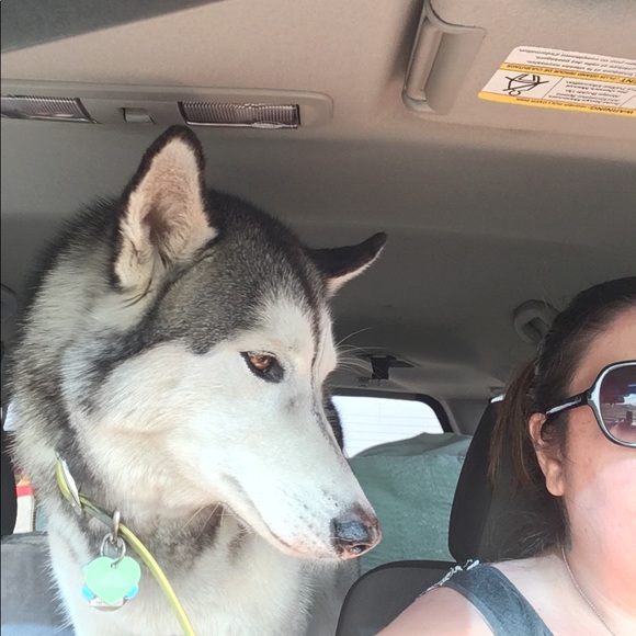 Meet your Posher, Blair - Picture 3 of 4